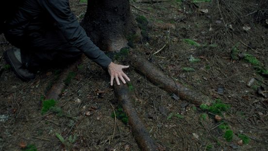 Still from the video work by artist Rob Crosse