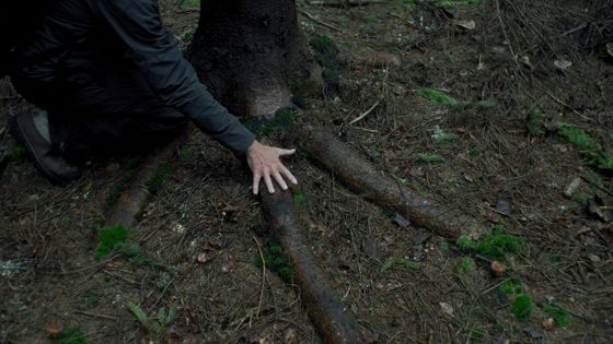 Still from the video work by artist Rob Crosse