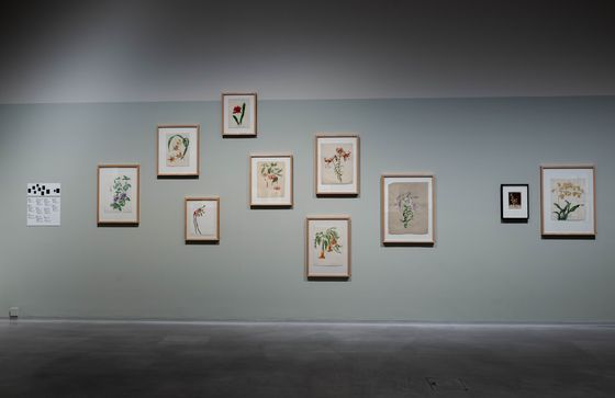 Installation view „Staging the Self. Marta Astfalck-Vietz“, Berlinische Galerie, Photo: © Harry Schnitger