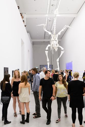 Eröffnung der Ausstellung "Andreas Greiner. Agentur des Exponenten", GASAG Kunstpreis 2016 in der Berlinischen Galerie, 14.9.2016, Foto: Harry Schnitger