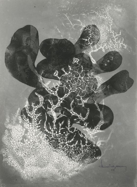 Heinz Hajek-Halke, symbiosis, 1968, © Heinz Hajek-Halke Collection, Courtesy CHAUSSEE 36