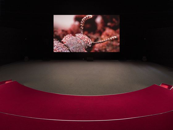 View of the video room with projection of the work onto a screen