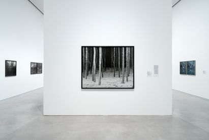 Ausstellungsansicht „Grünzeug. Pflanzen in der Fotografie der Gegenwart“ (abgebildete Werke: Ingar Krauss, Falk Haberkorn, Susanne Kriemann), © VG Bild-Kunst, Bonn 2023, Foto: © dotgain.info Ausstellungsansicht „Grünzeug. Pflanzen in der Fotografie der Gegenwart“ (abgebildete Werke: Ingar Krauss, Falk Haberkorn, Susanne Kriemann), © VG Bild-Kunst, Bonn 2023, Foto: © dotgain.info