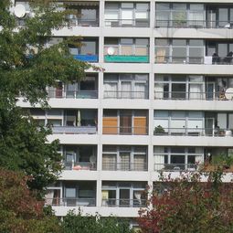 Fotografie: Hausfassade mit vielen Fenstern und Balkonen mit unterschiedlichen Vorhängen und Mobiliar. Links und unten ist der Ausblick von Baumspitzen eingerahmt..