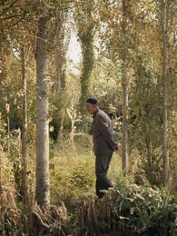 Filmstill: Eine ältere Person läuft, die Hände hinter dem Rücken verschränkt, durch einen kleinen, lichtdurchfluteten Wald mit dichtem Gestrüpp.