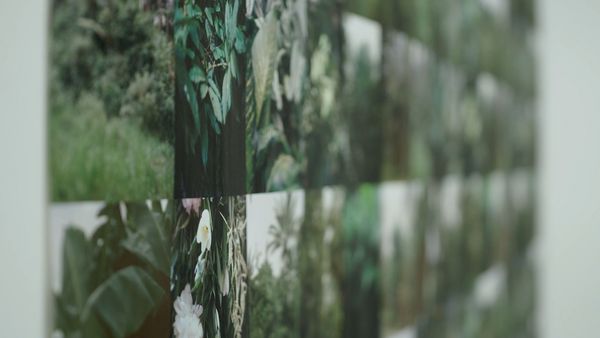 Video still: Side view of numerous photographs of green plant environments lined up in a square, which becomes blurred towards the back.