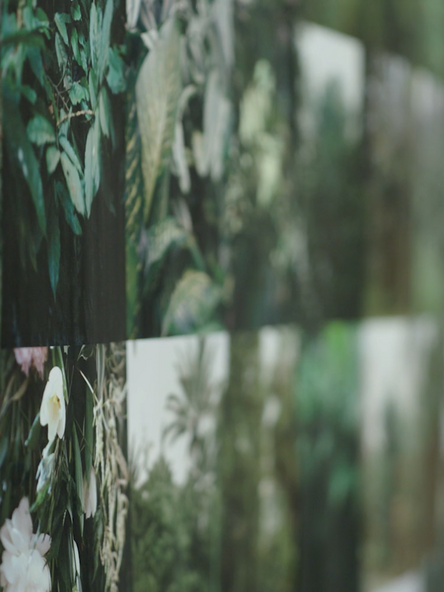 Video still: Side view of numerous photographs of green plant environments lined up in a square, which becomes blurred towards the back.
