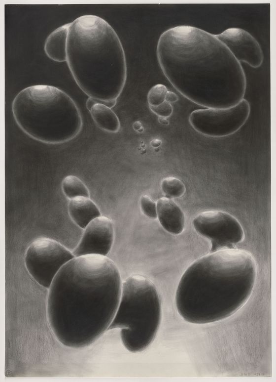 Brigitte Meier-Denninghoff, 65/17, 1965, Repro: Anja Elisabeth Witte