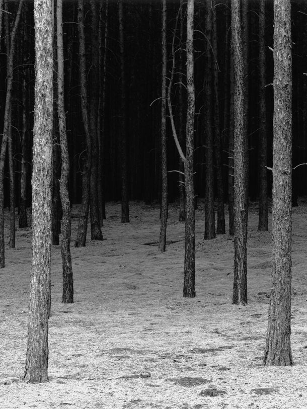 Falk Haberkorn, Schonung #2, Aus der 4-teiligen Serie "Schonung", 2003/04