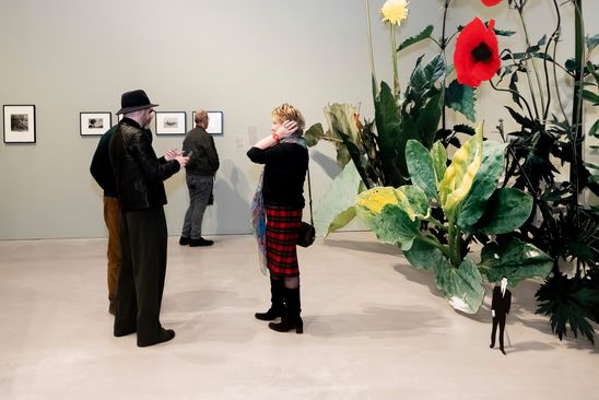 Photo: View into the exhibition space of "Closer to Nature", in which four people can be seen next to a large plant installation.