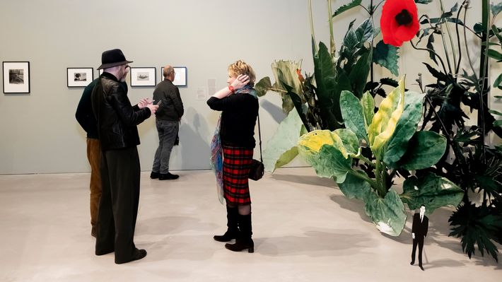 Photo: View into the exhibition space of "Closer to Nature", in which four people can be seen next to a large plant installation.