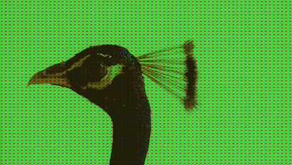 Pallavi Paul, The Blind Rabbit, 2021 (Still) © Pallavi Paul Pallavi Paul, The Blind Rabbit, 2021 (Still) © Pallavi Paul