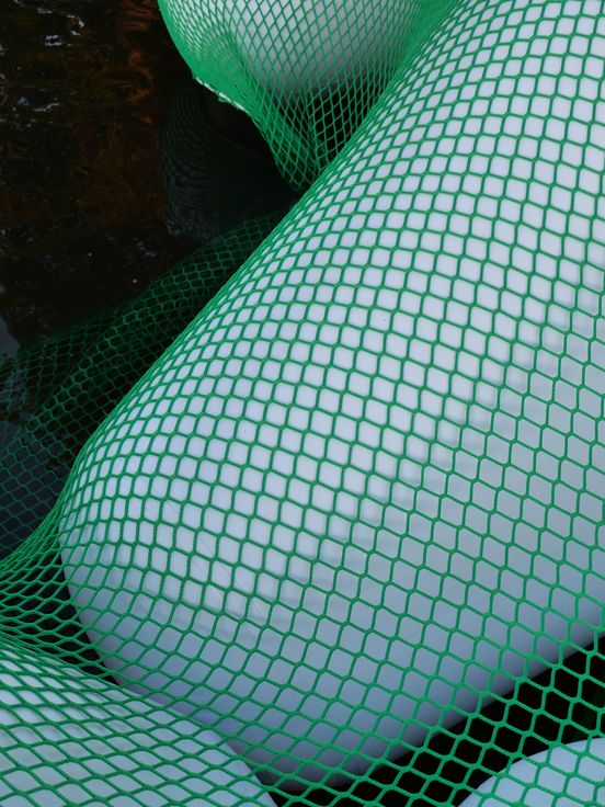 Photo: Close-up of the white tetrapods covered by a bright dark green net.