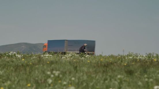 Film still: A person can be seen in a flower meadow in the foreground, a lorry and a section of mountain in the background.