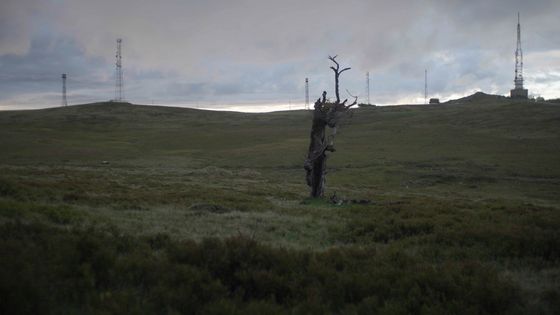 Still from the video work by artist Rob Crosse