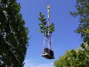 Foto: Einbau vorkultivierter Pflanzen am Gebäude