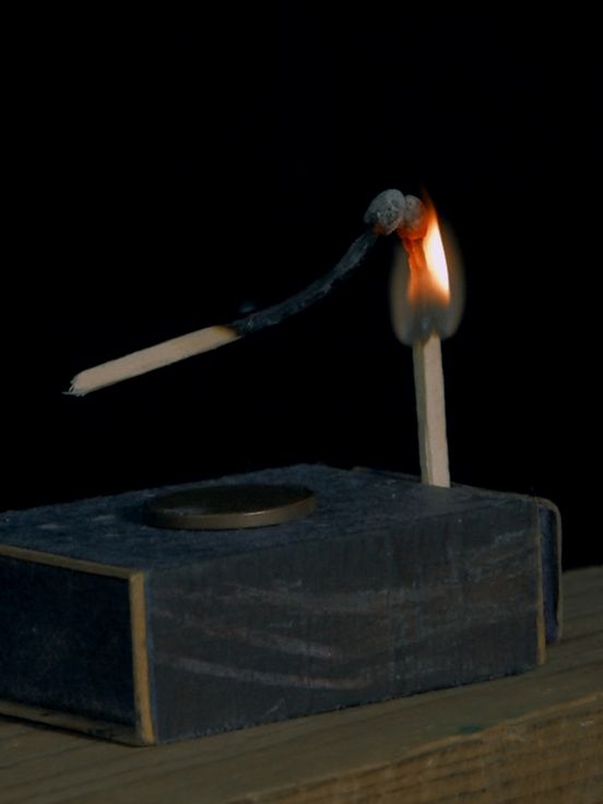 Mariana Caló & Francisco Queimadela, A Trama e o Círculo / The Mesh and the Circle, 2014