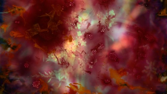 Stilll from the video work by artist Susann Maria Hempel