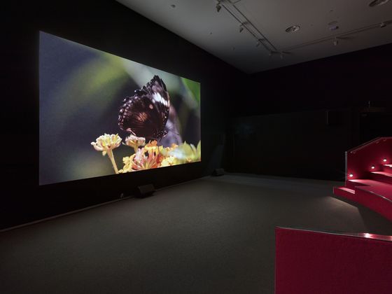 Ausstellungsansicht der Videoarbeit im IBB-Videoraum