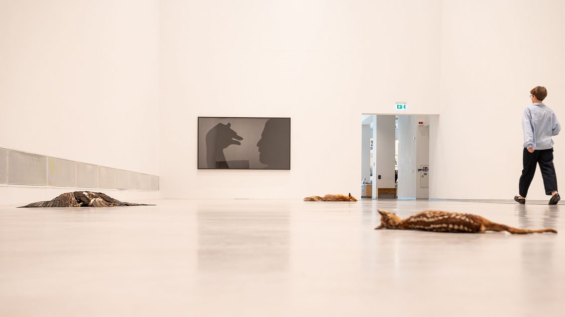 Ausstellungsansicht „Nasan Tur. Hunted“, Berlinische Galerie, Foto: © Harry Schnitger