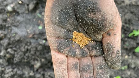 Eine Hand mit dunklem Sand auf der Handfläche