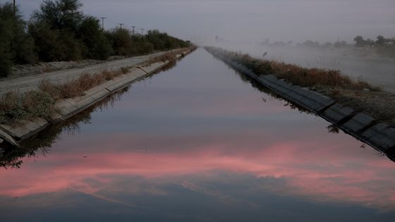 Su Yu Hsin, Where Clouds Once Formed (2025), Filmstill © Su Yu Hsin, Courtesy Su Yu Hsin and alexander levy