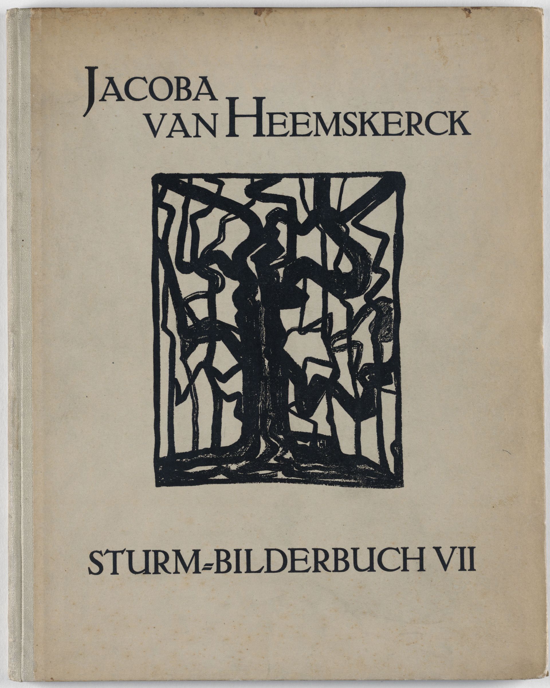Buchumschlag mit Grafik und Titel „Jacoba van Heemskerck, Sturm- Bilderbuch VII", Druck, Pappe