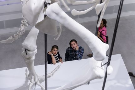 Verleihung des GASAG-Kunstpreises 2016 am 13. September an Andreas Greiner, Foto: Harry Schnitger Verleihung des GASAG-Kunstpreises 2016 am 13. September an Andreas Greiner, Foto: Harry Schnitger