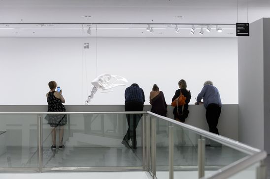 Verleihung des GASAG-Kunstpreises 2016 am 13. September an Andreas Greiner, Foto: Harry Schnitger