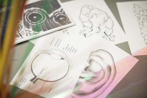 Photo: View of some printed sheets of paper. Some of them show teaching illustrations of an ear or eye.