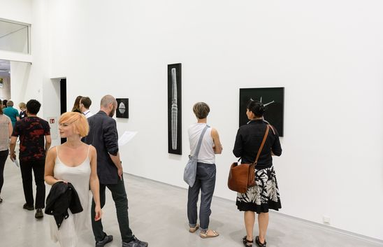 Eröffnung der Ausstellung "Andreas Greiner. Agentur des Exponenten", GASAG Kunstpreis 2016 in der Berlinischen Galerie, 14.9.2016, Foto: Harry Schnitger