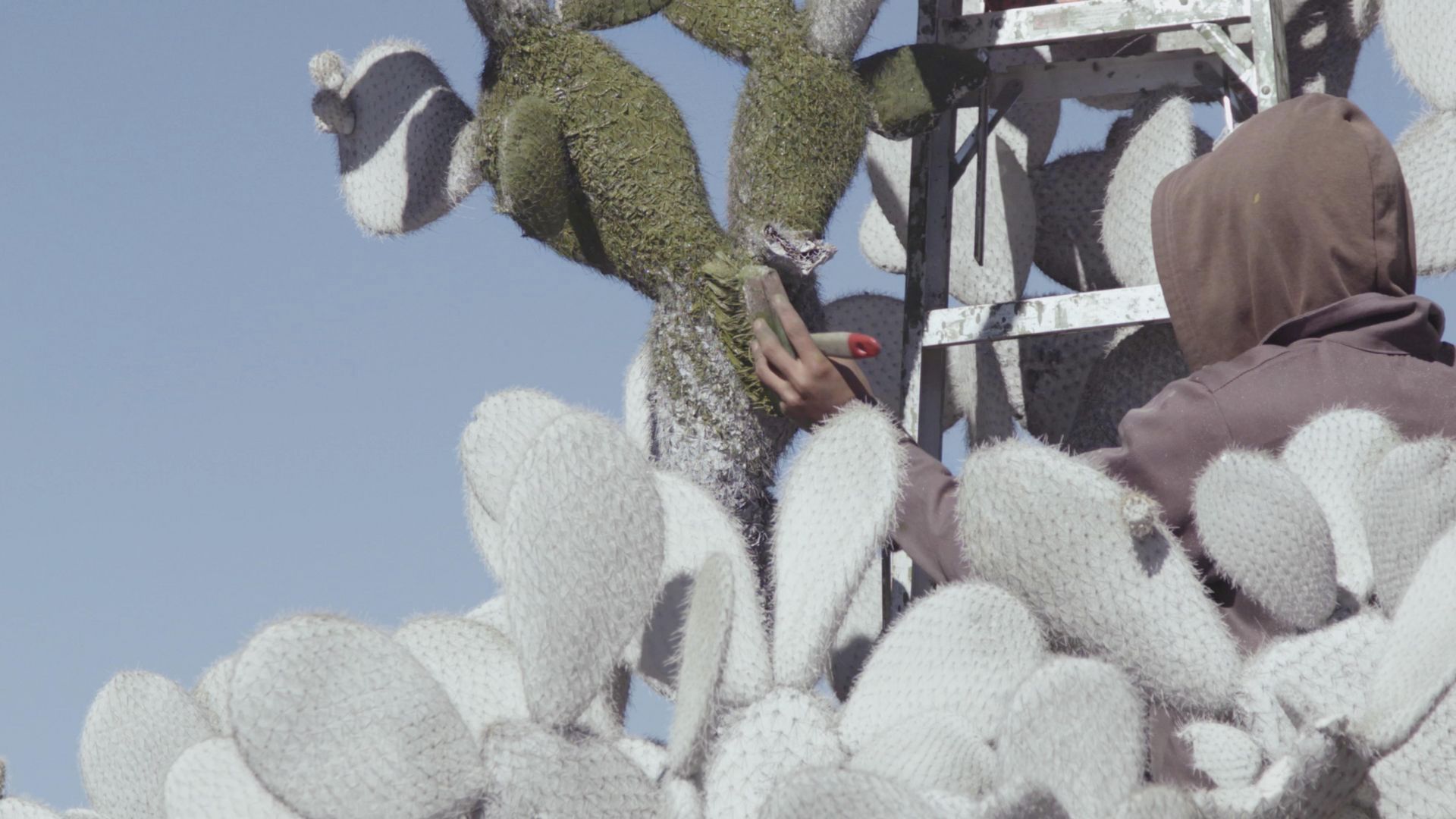 Julius von Bismarck Landscape Painting (Desert), 2015 (video still)