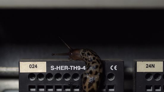 Nina Canell / Robin Watkins, Energy Budget, Video Still, 2017-2018