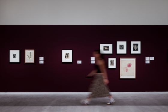 Installation view „Staging the Self. Marta Astfalck-Vietz“, Berlinische Galerie, Photo: © Harry Schnitger