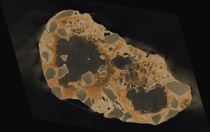 Abstract, microscopic-style close-up of an ochre-colored, mottled organic shape set against a dark, subtle textured background.