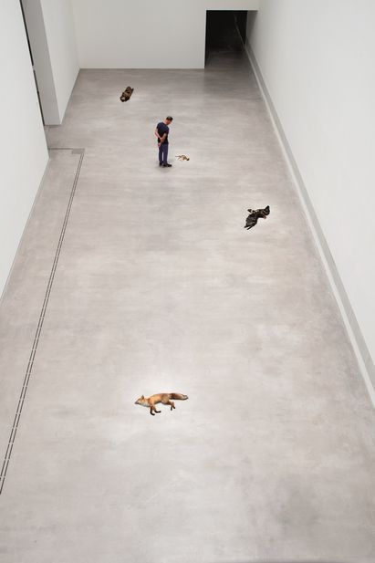 Ausstellungsansicht „Nasan Tur. Hunted“, Berlinische Galerie © VG Bild-Kunst, Bonn 2023, Foto: Nasan Tur Ausstellungsansicht „Nasan Tur. Hunted“, Berlinische Galerie © VG Bild-Kunst, Bonn 2023, Foto: Nasan Tur