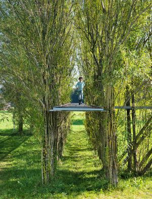 Foto: Entstehung belastbarer Strukturen