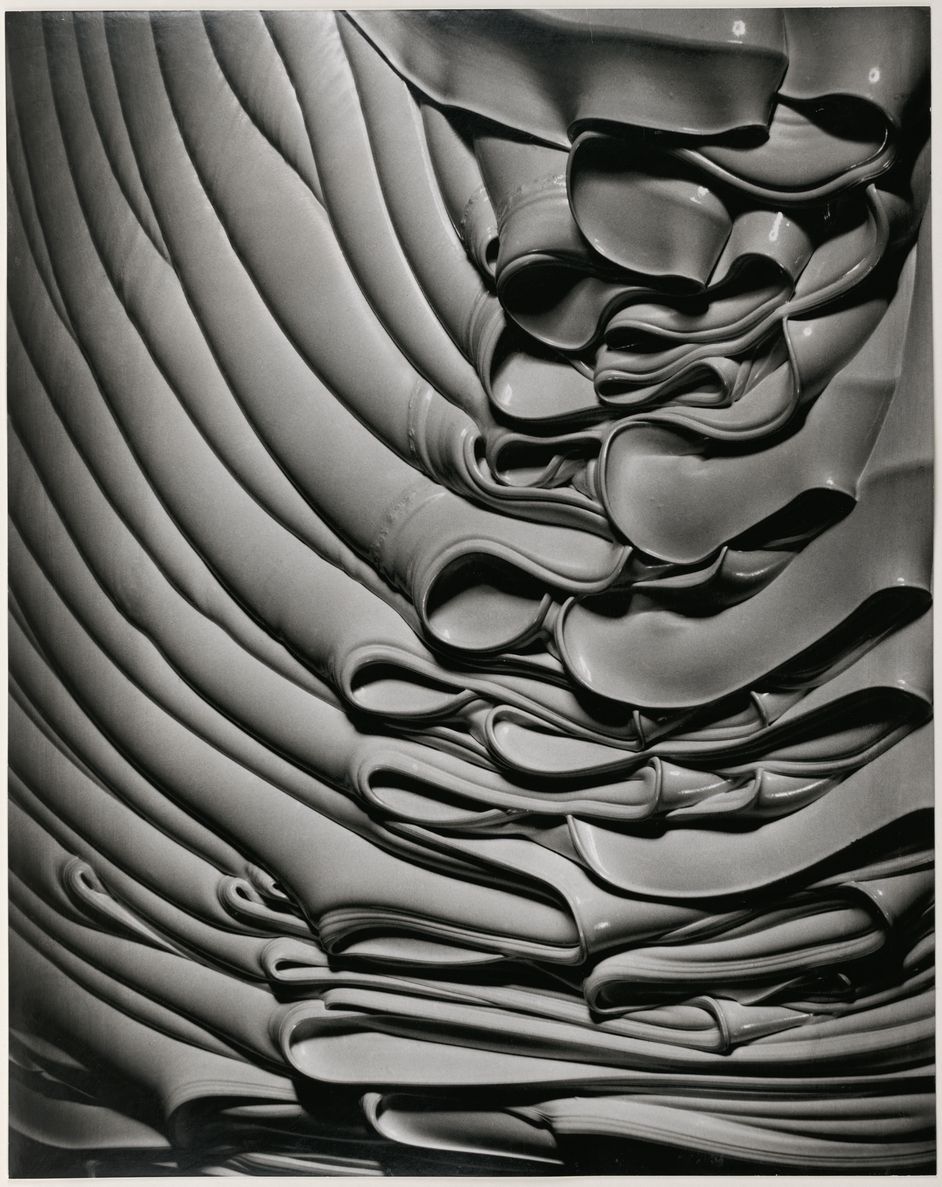 Fotografie von Fritz Brill, Silbergelatinepapier, 57,9 x 45,6 cm
