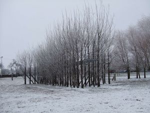 Foto: Baubotanischer Steg, Winter 2007