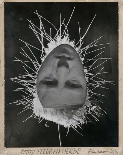 Raoul Hausmann, Petite Fleur en Herbe, 1932, © VG Bild-Kunst, Bonn 2021 Raoul Hausmann, Petite Fleur en Herbe, 1932, © VG Bild-Kunst, Bonn 2021
