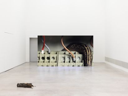 Ausstellungsansicht „Nina Canell. Tectonic Tender“, Berlinische Galerie, Foto: © Nick Ash Ausstellungsansicht „Nina Canell. Tectonic Tender“, Berlinische Galerie, Foto: © Nick Ash
