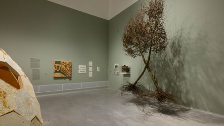 Ausstellungsansicht „Closer to Nature. Bauen mit Pilz, Baum, Lehm“, Berlinische Galerie