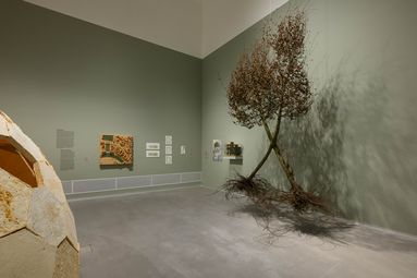 Ausstellungsansicht „Closer to Nature. Bauen mit Pilz, Baum, Lehm“, Berlinische Galerie