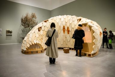 Exhibition view "Closer to Nature. Building with Fungi, Trees, Mud", Berlinische Galerie