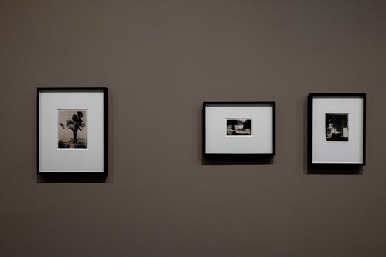 Installation view „Staging the Self. Marta Astfalck-Vietz“, Berlinische Galerie, Photo: © Harry Schnitger