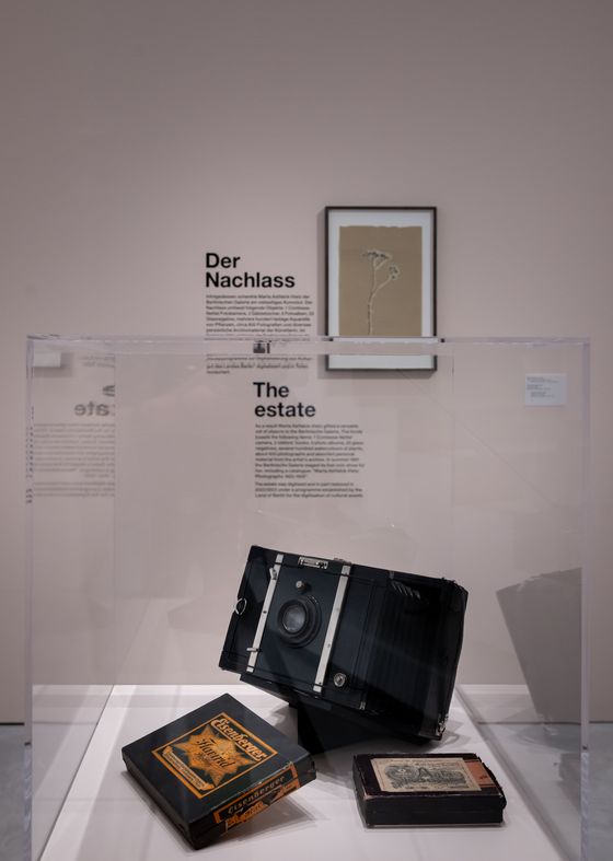 Installation view „Staging the Self. Marta Astfalck-Vietz“, Berlinische Galerie, Photo: © Harry Schnitger