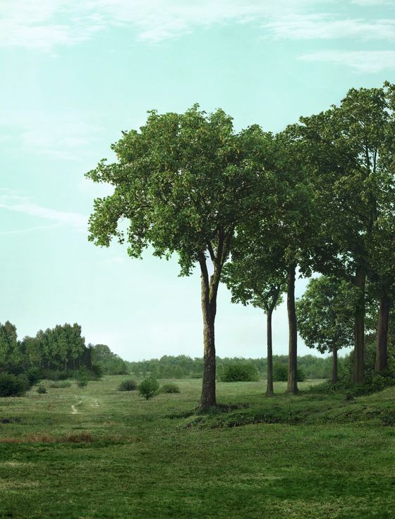 Abbildung einer Fotoarbeit von der Künstlerin Beate Gütschow aus dem Jahr 2002
